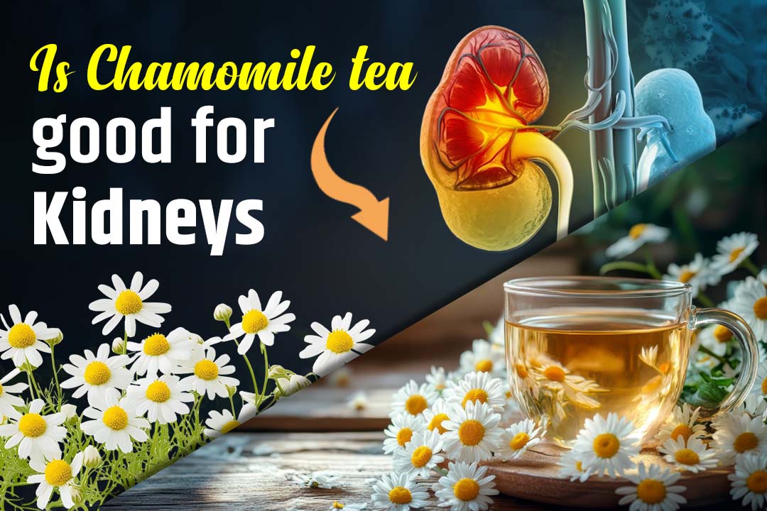 Is Chamomile Tea Good for Your Kidneys